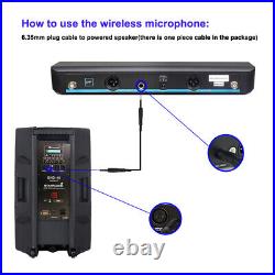2CH UHF Wireless Microphone System Church Audio Karaoke Mic Studio Handheld Mics