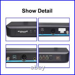 2 Channel UHF Wireless Microphone System 2CH UHF Audio Handheld Microphones Mic