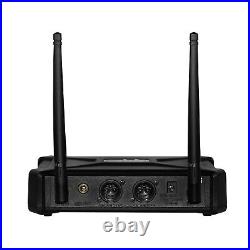 SKP Pro Audio UHF-600 PRO Wireless Microphone / 2 microphones / UHF System